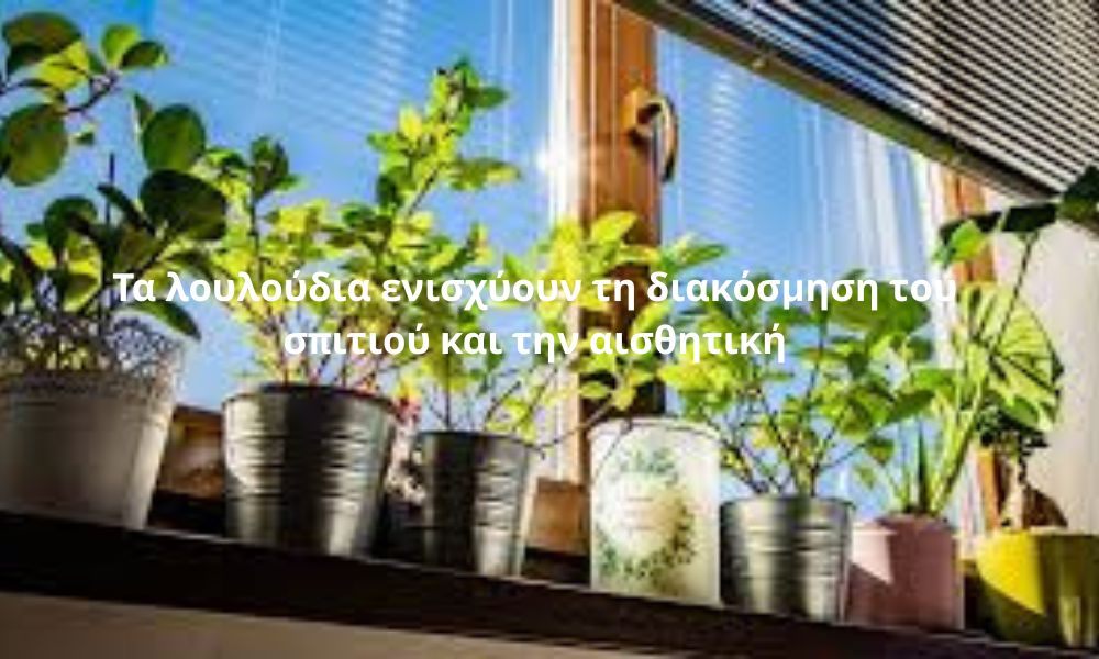 Τα λουλούδια ενισχύουν τη διακόσμηση του σπιτιού και την αισθητική