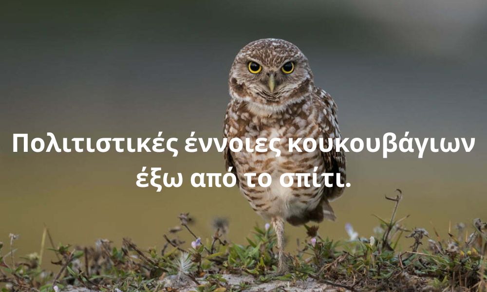 Πολιτιστικές έννοιες κουκουβάγιων έξω από το σπίτι.