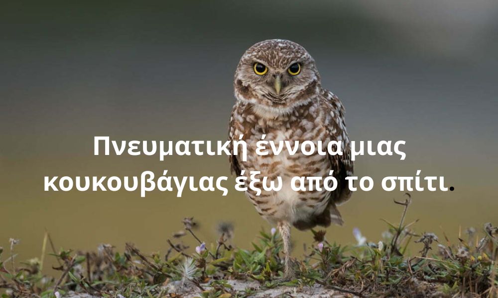 Πνευματική έννοια μιας κουκουβάγιας έξω από το σπίτι.