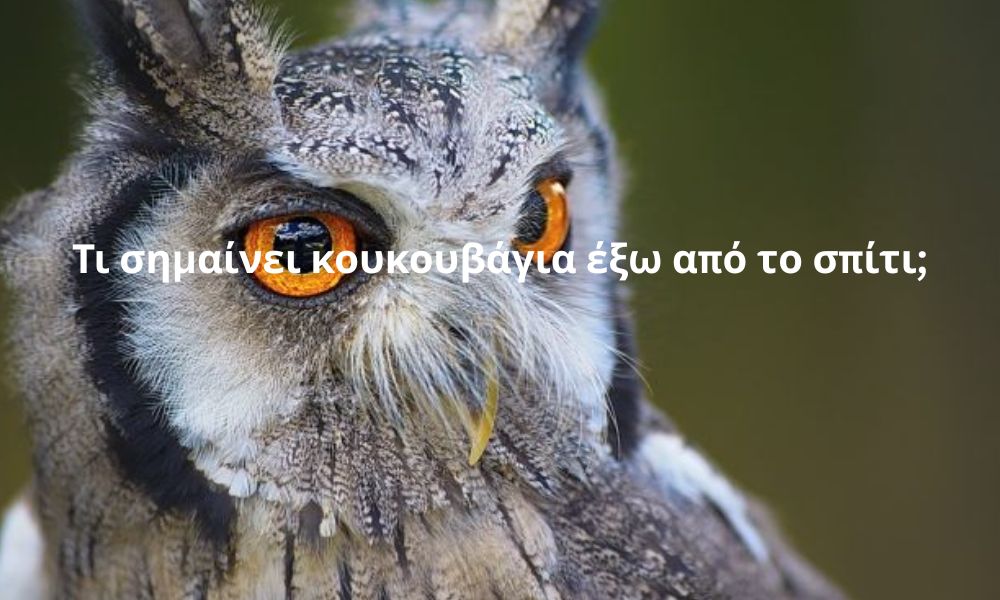 Τι σημαίνει κουκουβάγια έξω από το σπίτι;
